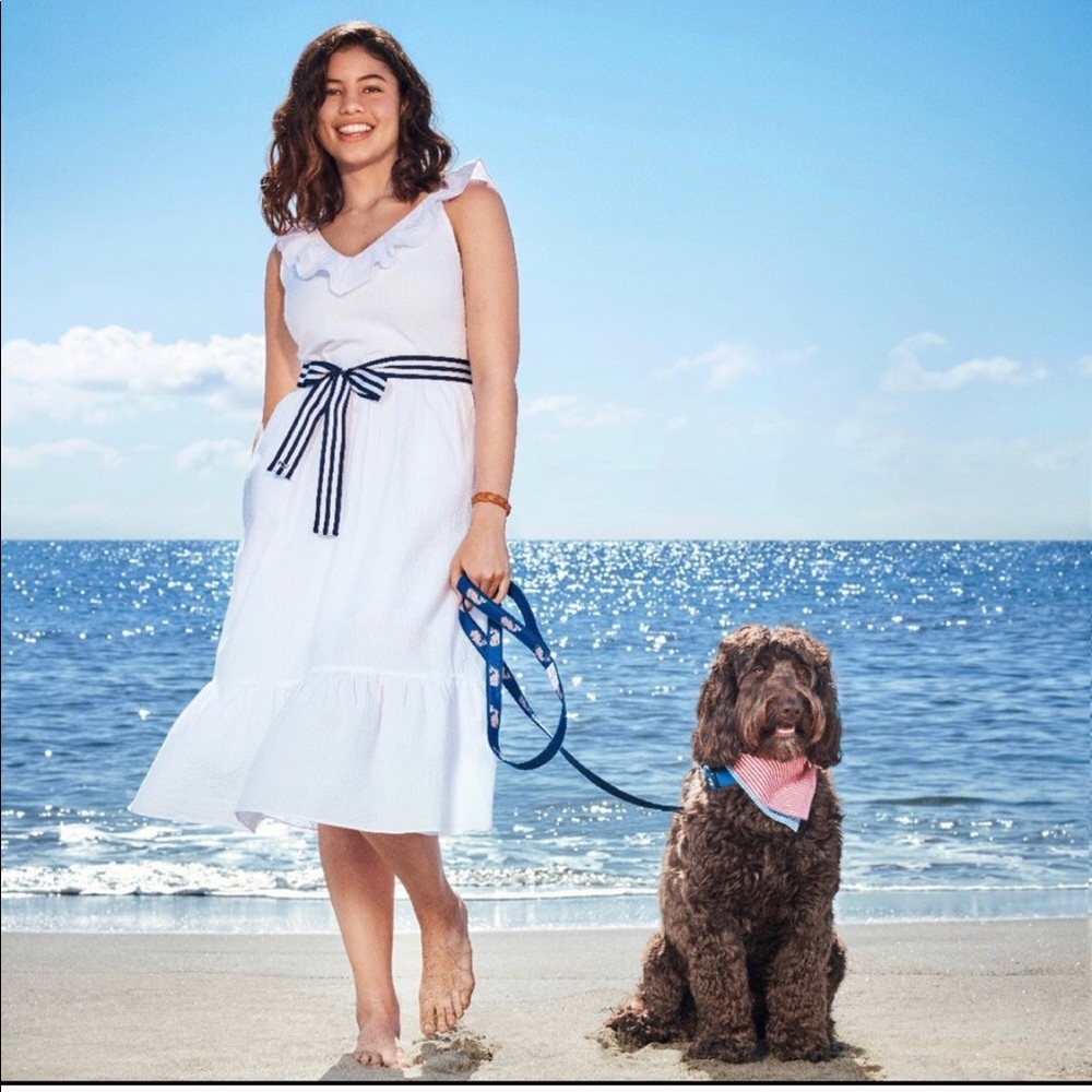 COPY - ⭐️ NWT Vineyard Vines for Target Dress